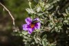 2/6 IMG_2766 site.jpg